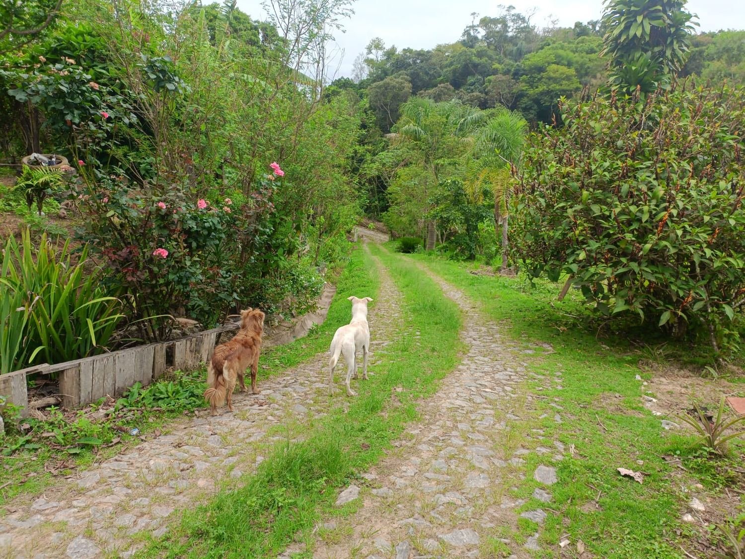 Bela chácara à venda no Jardim Costão