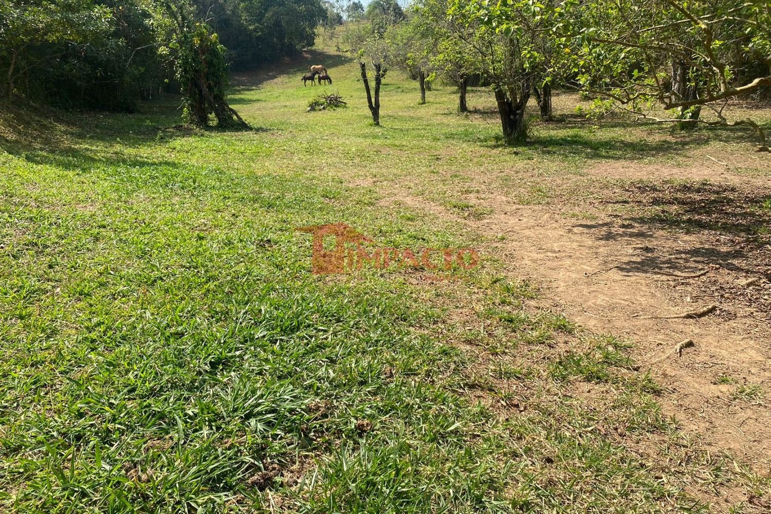 Grande Oportunidade Terreno de 49.000m² Excelente para formação de Condomínio