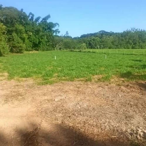 Terreno à venda no bairro Freguesia da Escada 20.00 m²