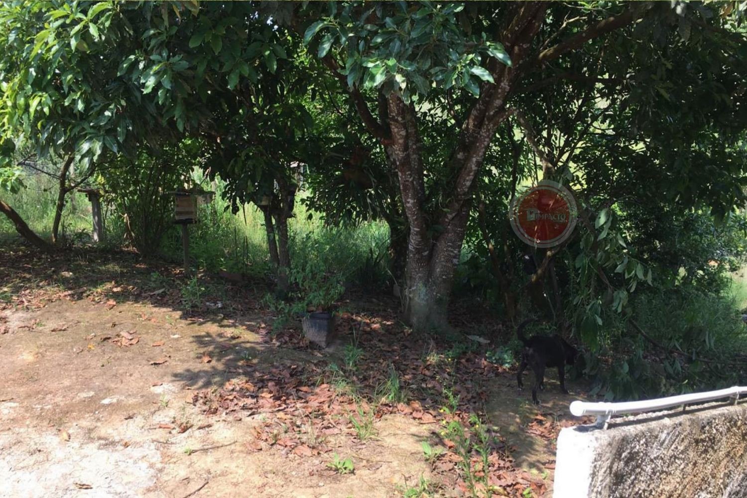 Chácara à venda no bairro Serrote 8.140 m²