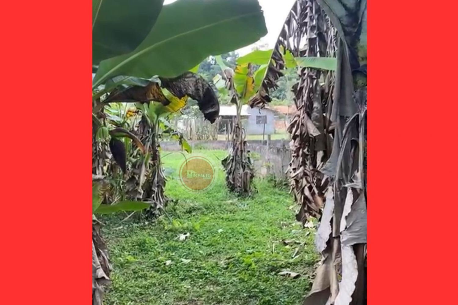 Maravilhoso terreno à venda no bairro Parque Agrínco