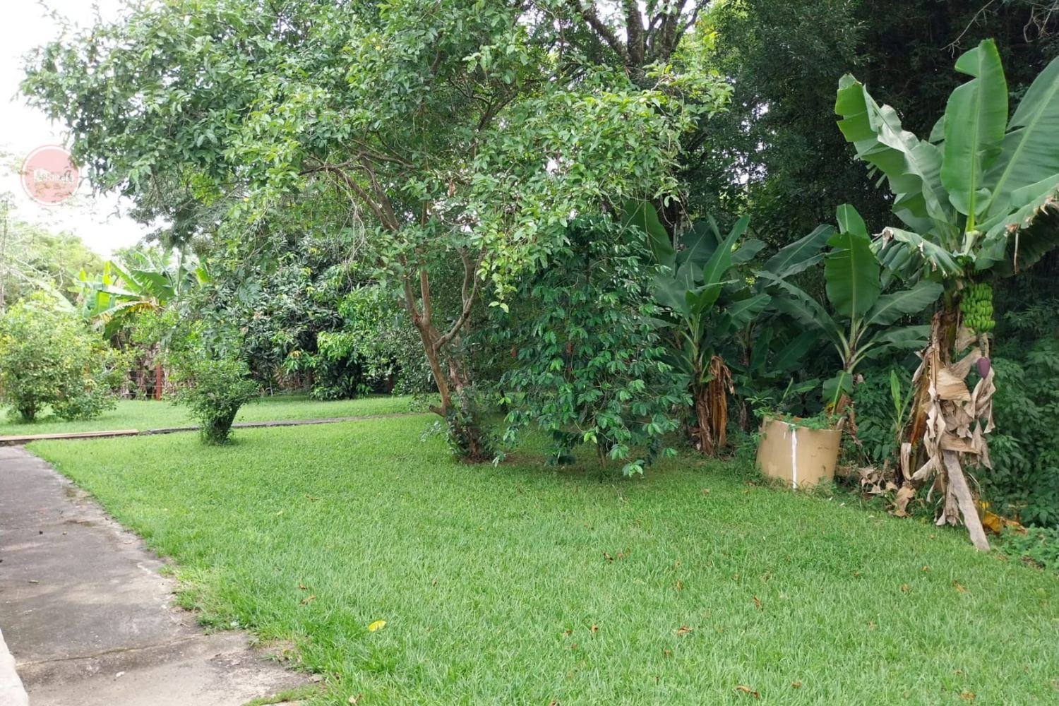 Belíssima chácara à venda em Santa Branca
